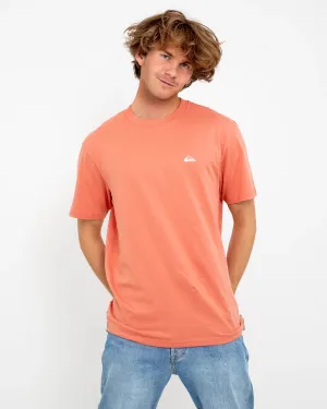 Basic T-Shirt in Canyon Clay