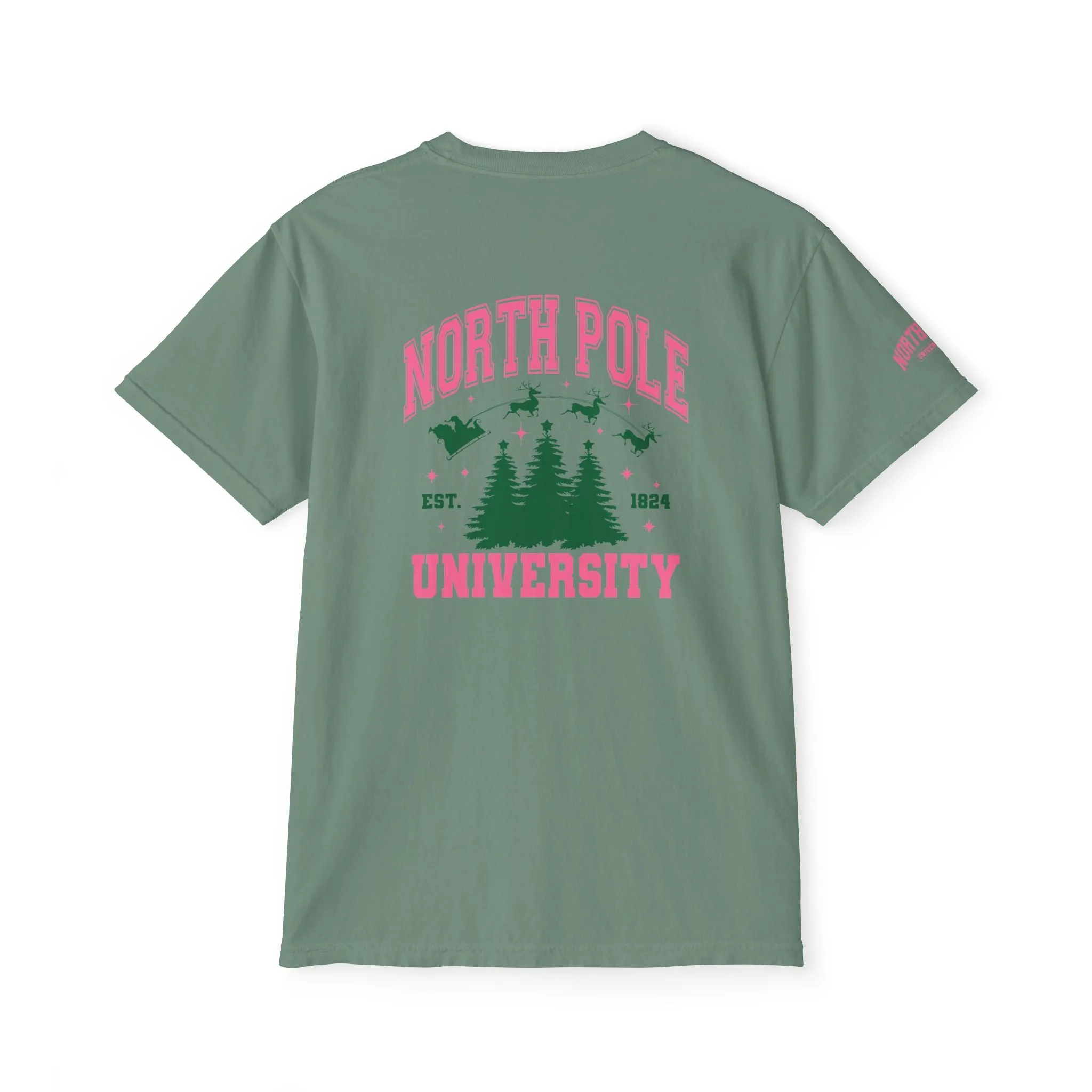 North Pole University Pocket T-Shirt