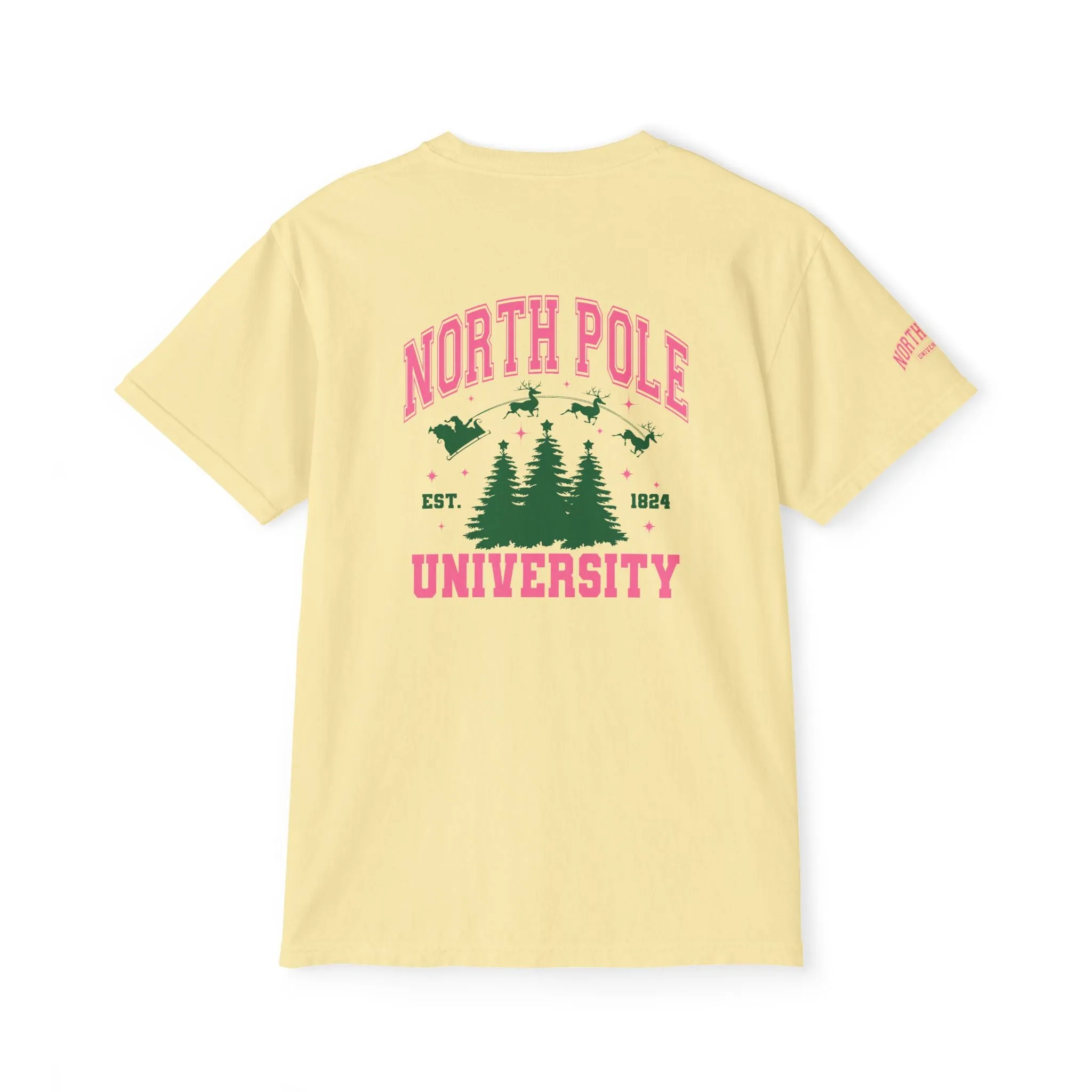 North Pole University Pocket T-Shirt